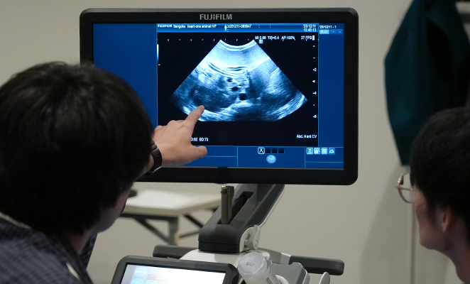 超音波機器のモニターを見つめている参加者二名、一名はエコーの画像を指さしている