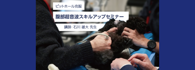 腹部超音波スキルアップセミナーのサムネイル