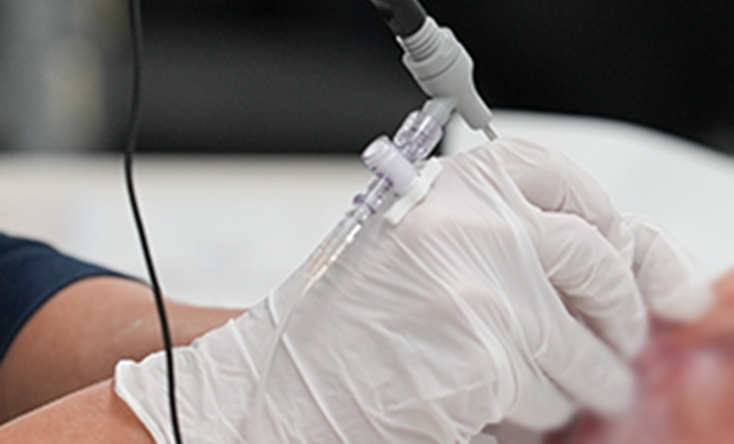 関節鏡スコープを使用しウサギ肉を用いたウエットラボ