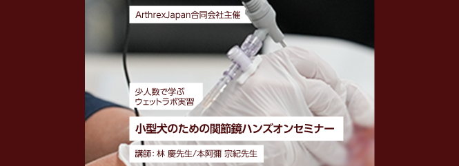 小型犬のための関節鏡ハンズオンセミナーのサムネイル