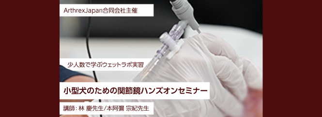 小型犬のための関節鏡ハンズオンセミナー