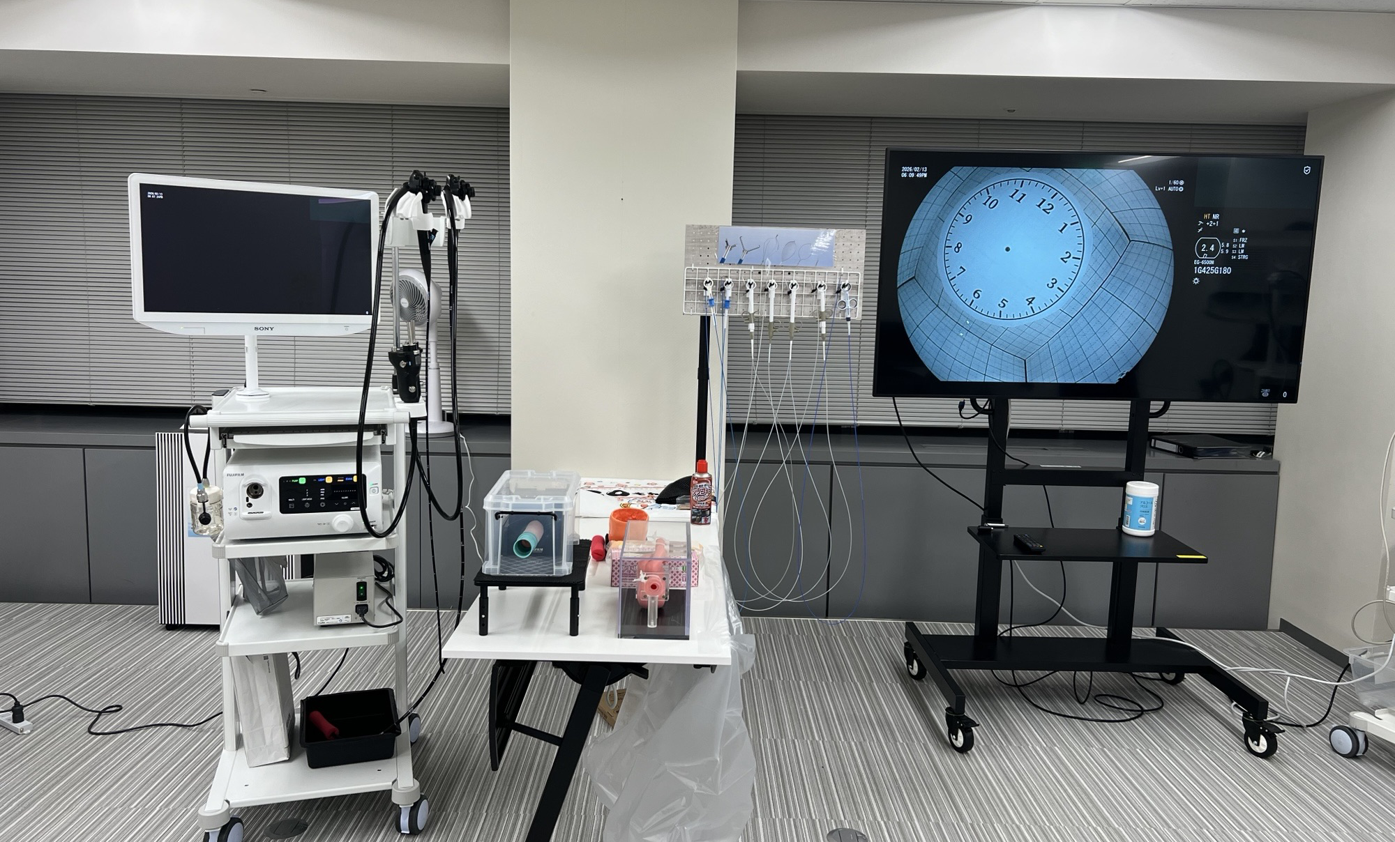 左側に動物用内視鏡「ELUXEO Vシステム」、中央にマーゲンモデルなどの備品、右側に大きなモニターで映像を映し出している。