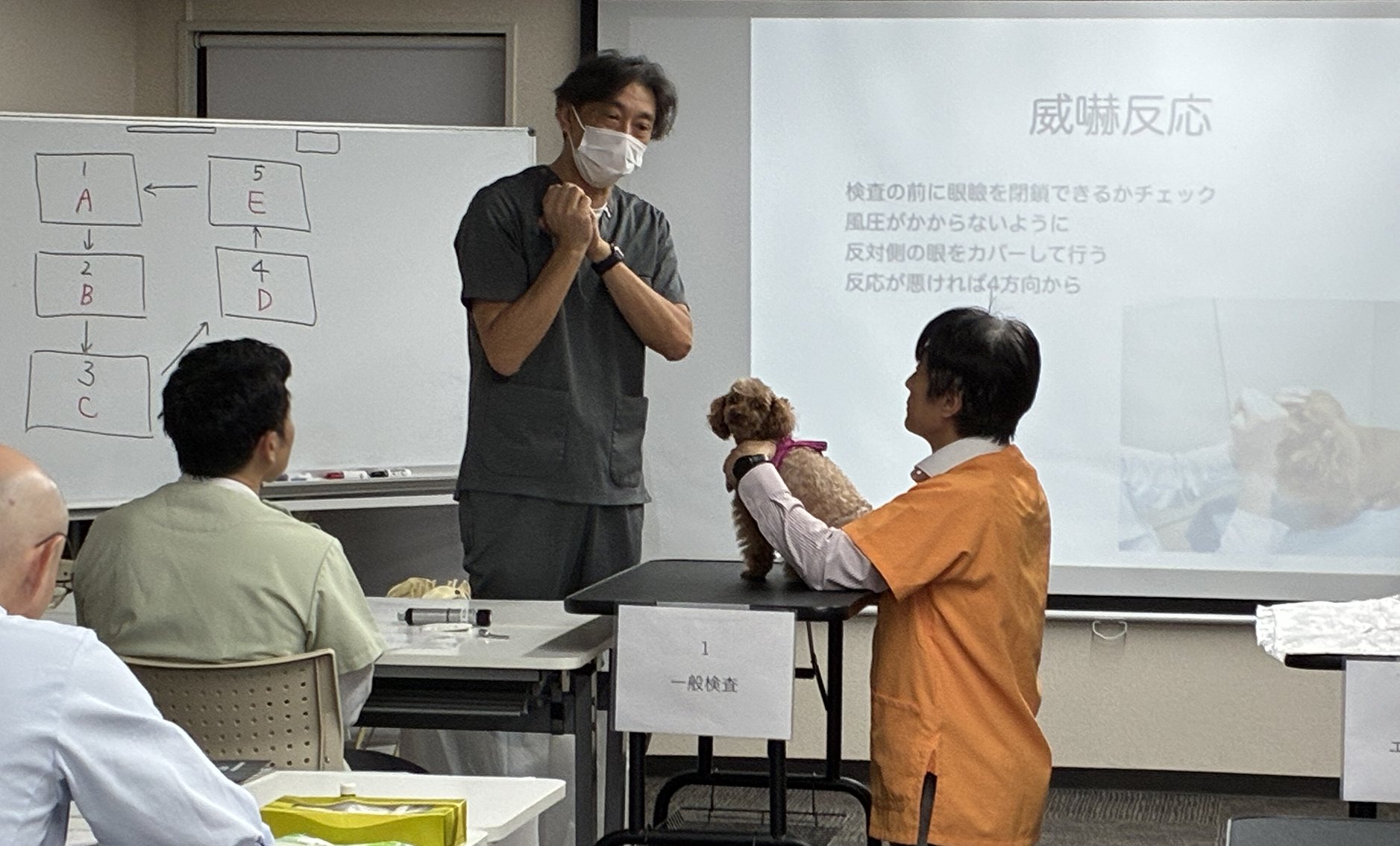 講師の小林先生が話をしている様子。手前では茶色の小型プードルがLife&Tailのスタッフに保定されている
