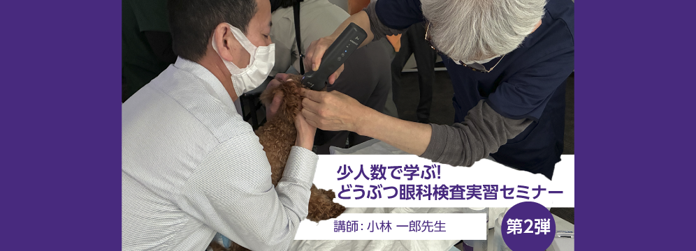 少人数で学ぶ！どうぶつ眼科検査実習セミナー＜第2弾＞セミナーサムネイル