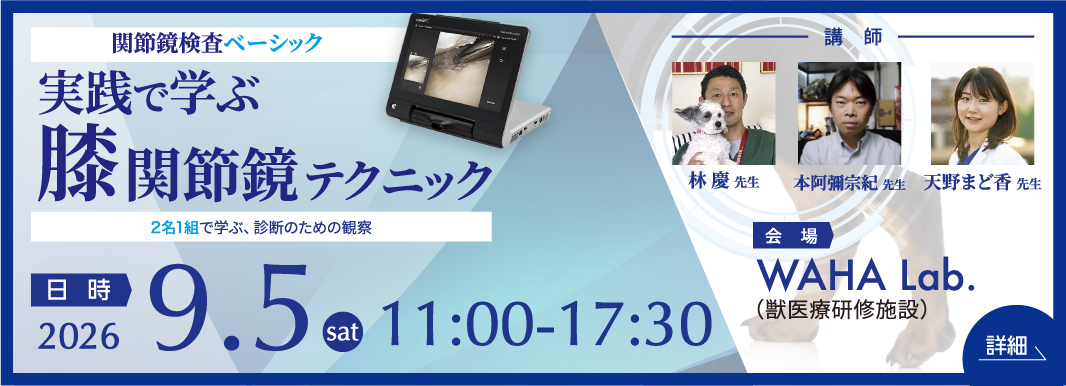 basicセミナーのバナー
